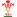 Wales National Rugby Team