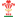 Wales National Rugby Team