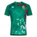 CCC British And Irish Lions Men Green Graphic Rugby Jersey 2020