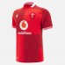 Welsh Rugby 2025 Adult Home Jersey