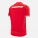 Welsh Rugby 2025 Adult Home Jersey