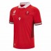 Wales Rugby World Cup Men Home Jersey 2023 