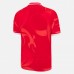 Welsh Men Commonwealth Games Home Rugby Jersey 2022