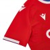 Crystal Palace Men's Home Soccer Jersey 2023