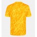 Tottenham Hotspur Men Goalkeeper Soccer Jersey 2024
