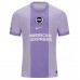 Brighton Hove Albion Adult Away Soccer Jersey 2025