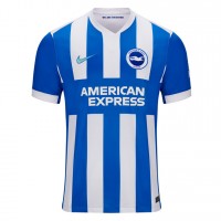 Brighton Hove Albion Adult Home Soccer Jersey 2025