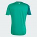 Northern Ireland Mens Home Soccer Jersey 2026