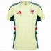 Wales Mens Away Soccer Jersey 2024