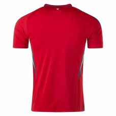 Wales Mens Home Soccer Jersey 2024