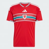 Wales Adult Home Soccer Jersey 2026